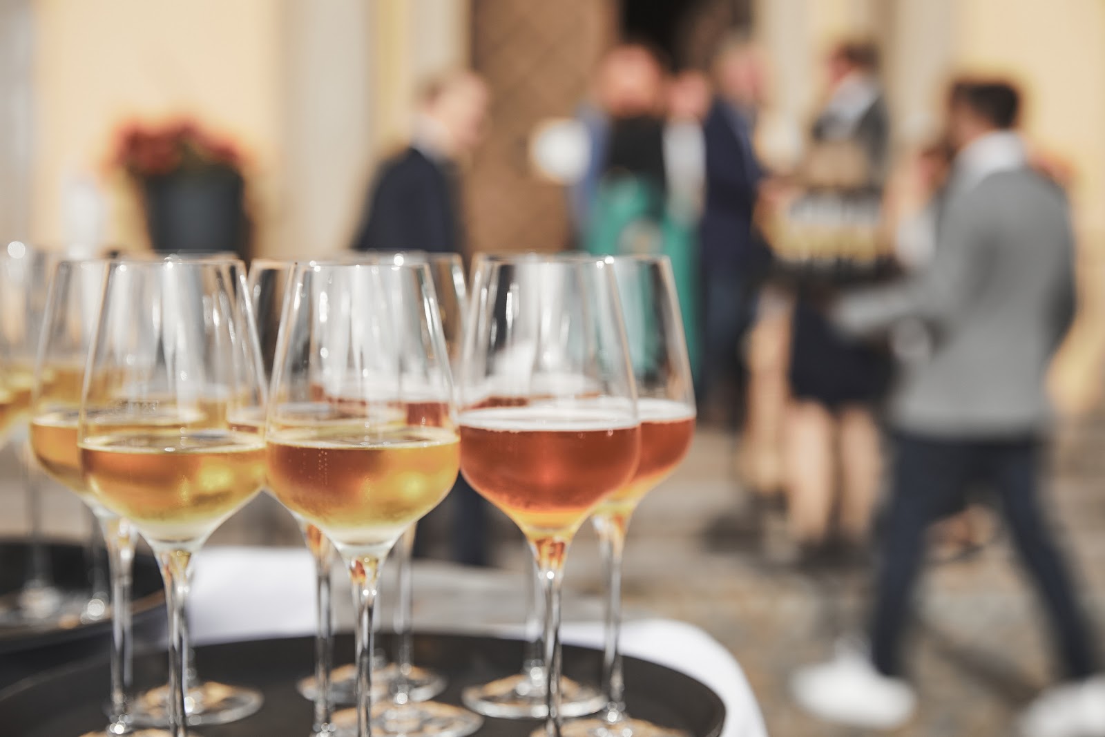 Weingläser mit fränkischem Wein beim Empfang in der Vinothek Weinforum Franken Eibelstadt